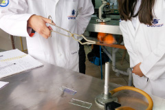 univdep valle