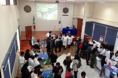 univdep valle