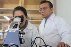 univdep valle