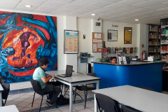 univdep valle